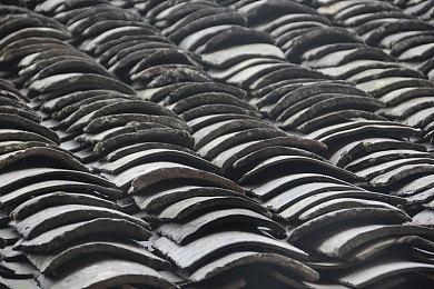 《怪物猎人：荒野》全年更新计划发布 第四次更新今年冬季上线