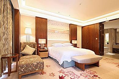 拿破仑战争游戏《坚守：国家战争》推出免费一战DLC