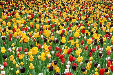 小岛秀夫动作游戏新作《Physint》正式发表